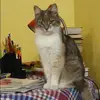 Отзыв от Юлия Терехова